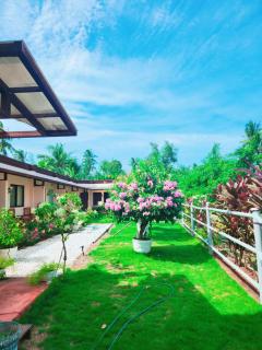 Irishlodge - 6