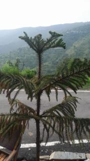 Andanam Village Stay I 6 Km from Nagtibba Trek Route I - 0