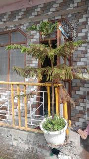 Andanam Village Stay I 6 Km from Nagtibba Trek Route I - 8