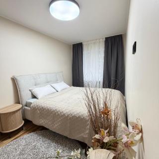 EVIS LTD apartments 6 - 5
