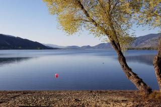 Lakefront Resort Townhome with Kayaks & Gas Grill! - 5
