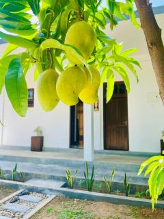 Ayubowan Yala - 2