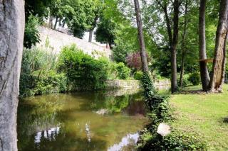 Gite Sainte Marguerite - Le cerf - 2