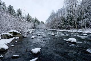 Stay Portland - Alpine Retreat Hot Tub, Fire Pit & Game Room - 6