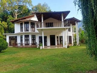 Lavendra Garden - 1