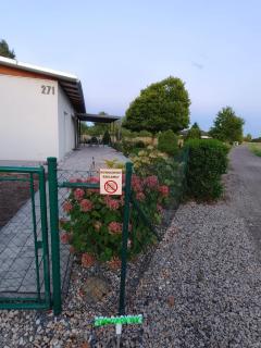 Village House 271 - near Pardubice - 9