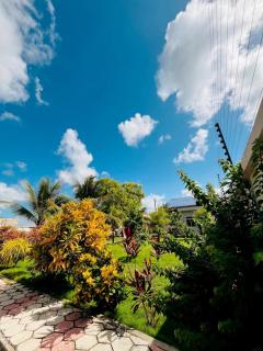 Palm Paradise - 9