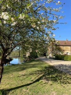 Riverside cottage l Perfect for Loire Valley escapes l fishing l cycling l paddle l nature - 7
