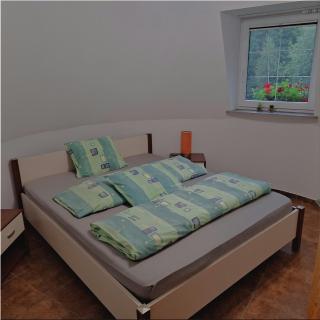 Apartamenty Karkonosze U Mirosława - JAGNIĄTKÓW - 9