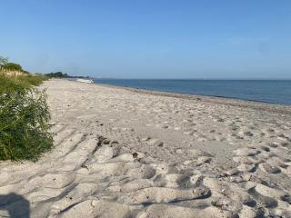 Cozy villa 1 min walk from the beach in Trelleborg - 7