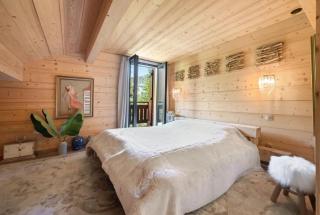 Cozy ski chalet Wifi on slopes - 5