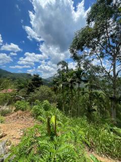 ELLA ECO ARCH Lodge - 7