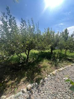 Guest House Baku - 7
