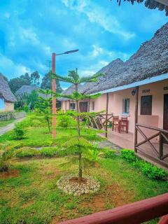 Hotel Analamazaotra - Aloe & Rosette - 3