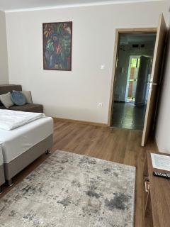 Weninger Studio Apartman - 7