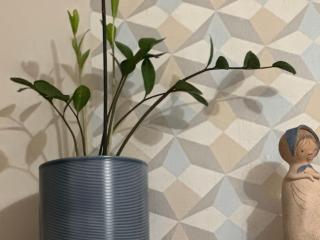 Weninger Studio Apartman - 5