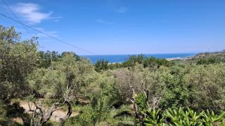 Villa Gatto - 8