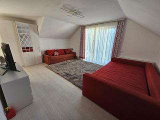 Dendro House - 5