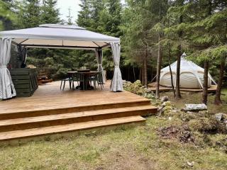 Glamping På Idyllisk Småbruk Med Miniatyr Hest, Esel Og Geit - 1
