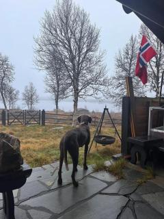 Arnebergbua Retreat, Off-Grid Valdres - 5