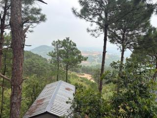 Hills Abode Homestay Shillong - 6