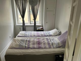 Calvia Stay - 7