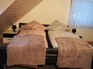 Appartement am Rathaus - 5