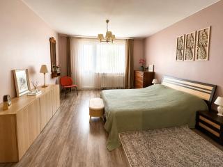 Spacious Druskininkai Centre Apartment Perfect for Families - 8