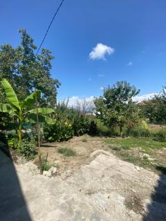 IKA Guesthouse - 8