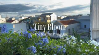 Tiny Bloom Homestay - 2