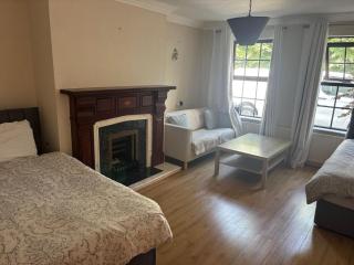 Spacious Piltown Home 6 Bedrooms Free Parking - 9