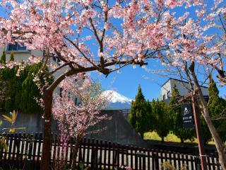 富士たから荘山中館 - 6