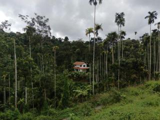 SpiceBook Homestay Wayanad - Sultan Bathery - 5