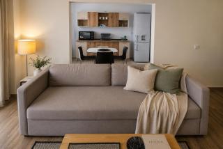 Jafar 2 - Family 2-Bedroom Apartment - Timişoara - 9
