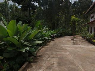 SpiceBook wayanad - 5