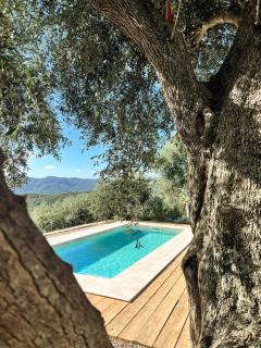Agriturismo Le Merline - 8