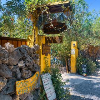 Delft Village Stay - Experience Based Local Island Stay in Jaffna - 5