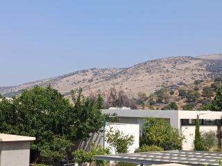 Berko in the Galilee - 5