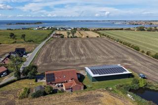 An der alten Pappel Nr 2 - Fehmarn - 1