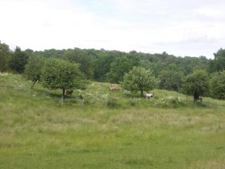 Pavillon De Chasse - Aile Est - 4