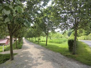 Pavillon De Chasse - Aile Ouest - 5