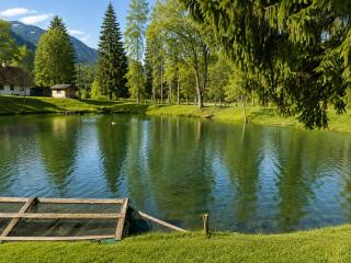 Ferienwohnung in Südkärnten Bergblick, Fischteich & Naturidylle - 8