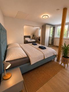 Elysian 3 apartment - TEAM - 3