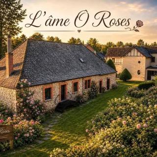 L'âme Ô Roses gîte de Charme - 9