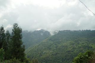 Ritika Homestay - 9
