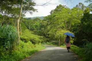 Ritika Homestay - 4