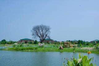 Brij Tara, Ranthambore - A Luxury Wildlife Resort - 0