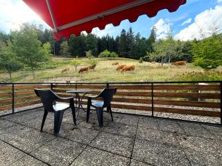 Ferienhaus Waldruhe - 3