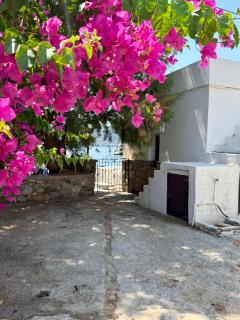 Villa Telendos - 4