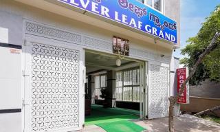 Silver leaf Grand - 0